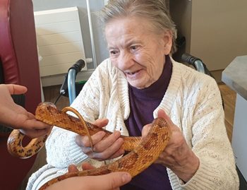 Stratford-upon-Avon care home visited by creatures great and small