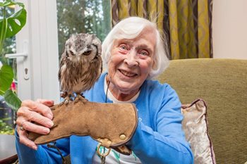Feathered friends pay a flying visit to Buckingham care home