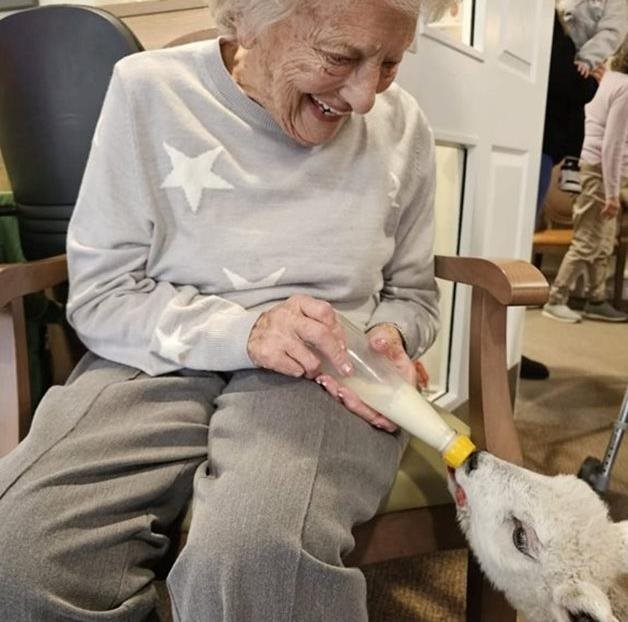 Animal visit a success at Haywards Heath care home