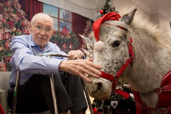 Special Christmas visitor trots into local care home 
