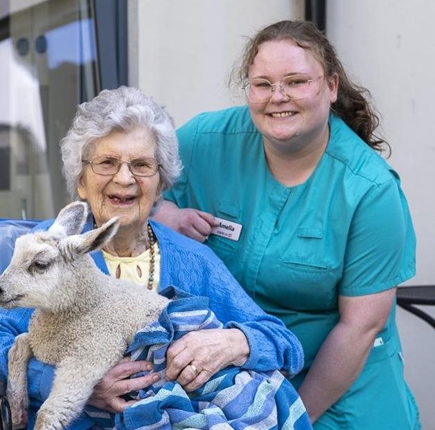 Lambs leap into Stroud care home