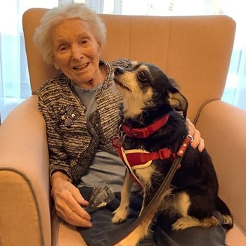 Orpington care home hires canine relations manager 
