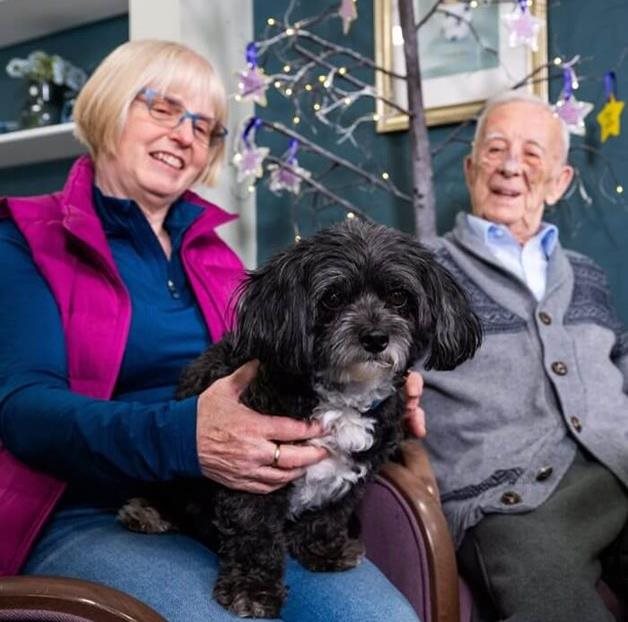 Amblewoof - free event at Ambleside