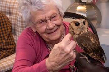 Owls visit Dorset care home