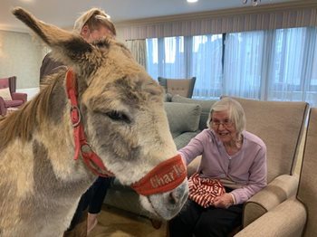 A-mule-sing afternoon as Shinfield care home welcomes in a furry friend