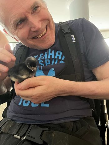 A hatch made in heaven! Fareham care home residents welcome feathery new friends