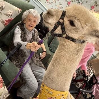 Cardiff care home welcomes cute companions