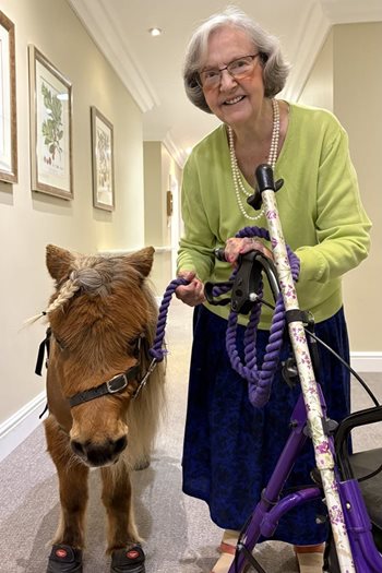 Sway care home residents enjoy mare-vellous afternoon of animal therapy 