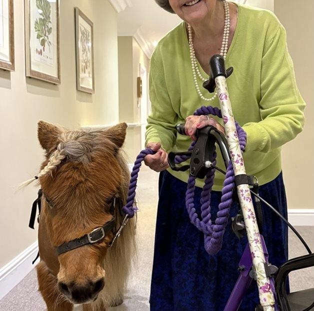 Sway care home residents enjoy mare-vellous afternoon of animal therapy 