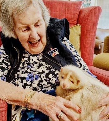 A hare-raising good time! Kingston Vale residents enjoy afternoon with animals
