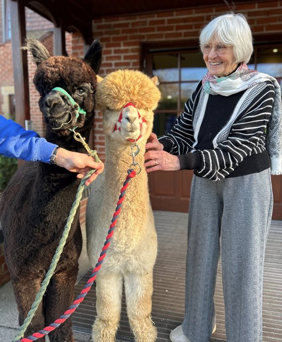 Have you herd about the special visitors to a Sway care home? Care UK