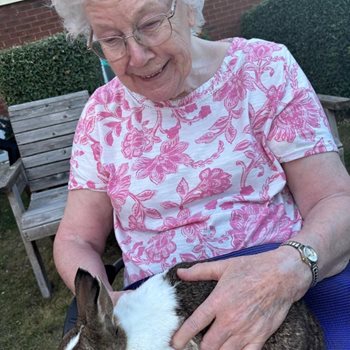 Fareham care home residents have a field day with farm animals