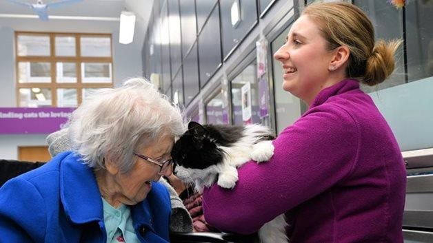 A purr-fect day for Haywards Heath care home residents