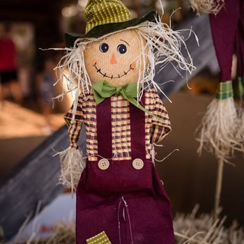 Basingstoke care home’s a-maize-ing scarecrow festival returns