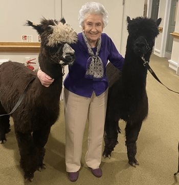 A woolly good time – Sutton Coldfield care home welcomes a herd of unusual visitors