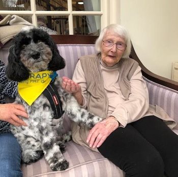A fur-bulous addition to the team! Local care home hires new ‘Director of Canine Relations’