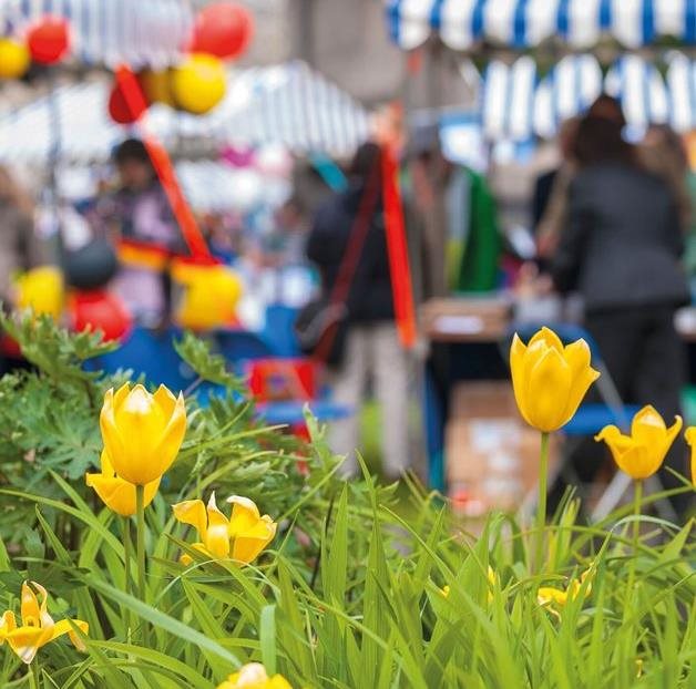 Bourley Grange Market - free event at Bourley Grange