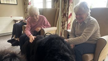 Aberdeen care home welcomes new furry friends