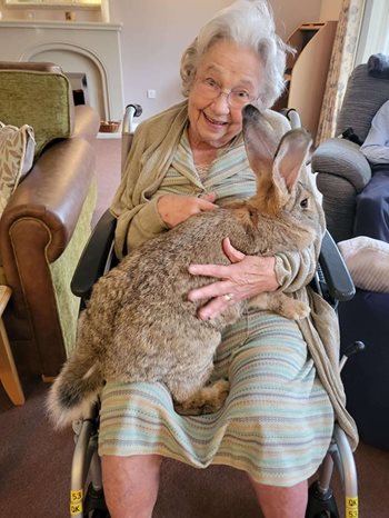 Hop to it! Eye care home welcomes a host of furry friends