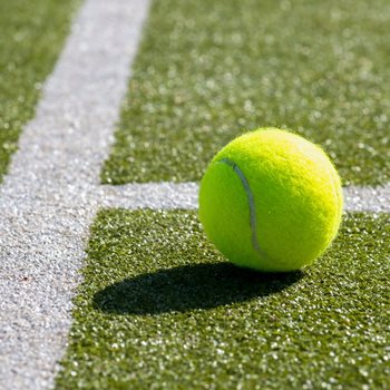 Wimbledon afternoon - free event at Blossomfield