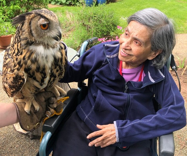 Feathered friends pay a flying visit to Maids Moreton care home