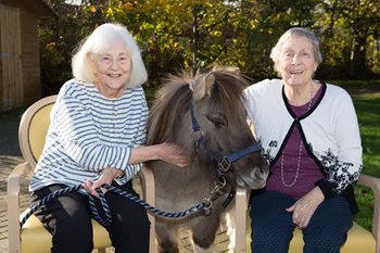A hare-raising good time! Woking residents enjoy an afternoon with animals
