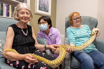 From snakes to bearded dragons – creatures great and small visit local care home 
