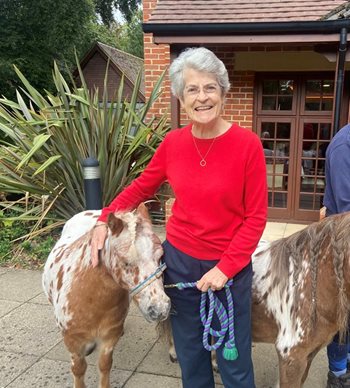 The best things come in small packages – miniature ponies trot along to Sway care home