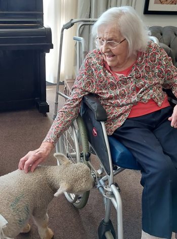 A wooly great time! Animal visit a success at Edgbaston care home