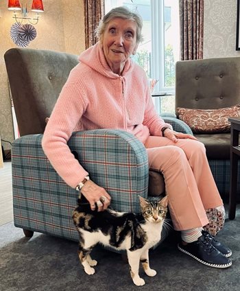 Where’s the paw-ty at? Sale care home host their very own cat café  