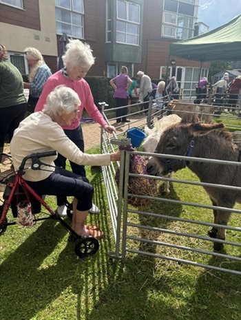 Fareham care home residents have a field day with farm animals