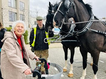 Neigh bother – Windsor care home residents surprised with horse drawn carriage