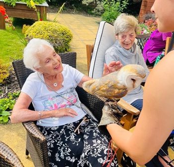 Hoot-iful wild friends pay a visit to Chingford care home