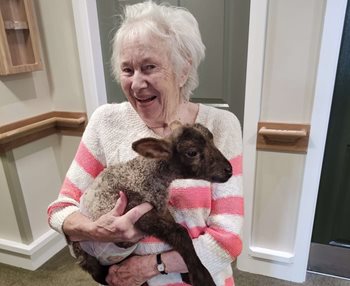 Springing into action – Bromsgrove care home welcome baaa-by lambs