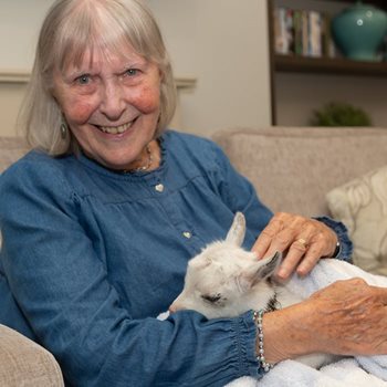 Felixstowe care home residents enjoy goat visit