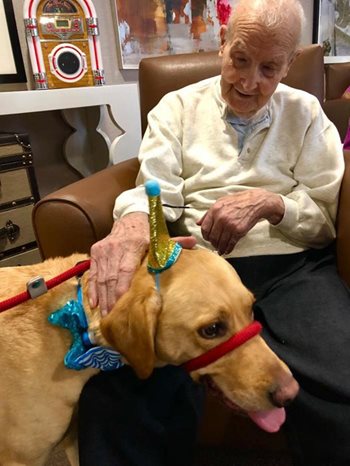 ‘Round of a-paws’ as local care home hires canine relations manager