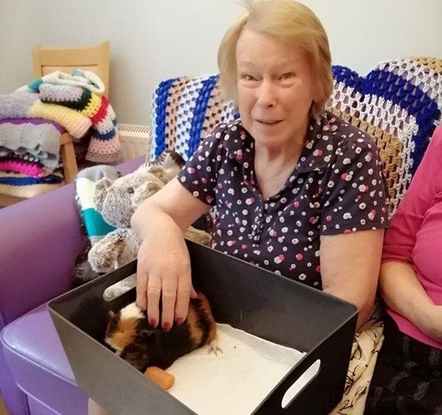 A hare-raising good time! Godalming residents enjoy an afternoon with animals