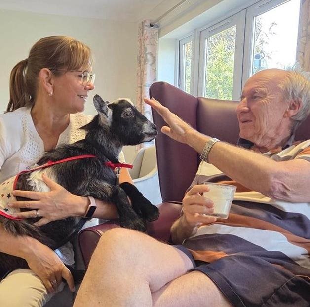 Newbury care home residents enjoy goat visit