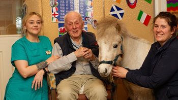 New neigh-bours: pony pair trot into Stockport care home