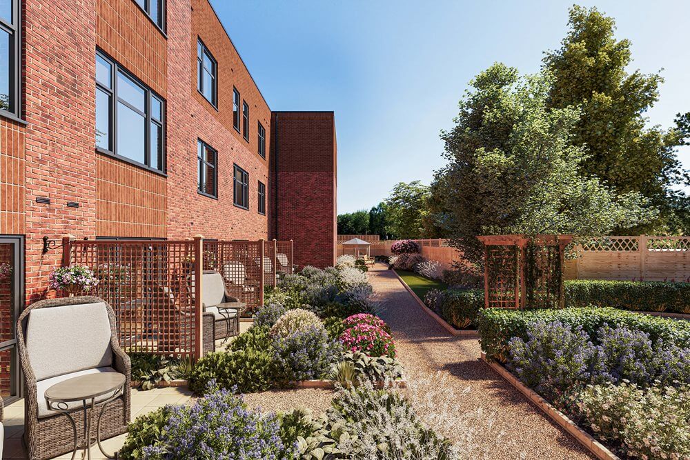 Elderflower Grange - Elderflower Grange garden