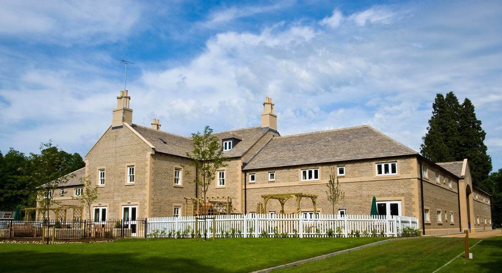 Tall Trees Glade - Tall Trees Glade garden 2