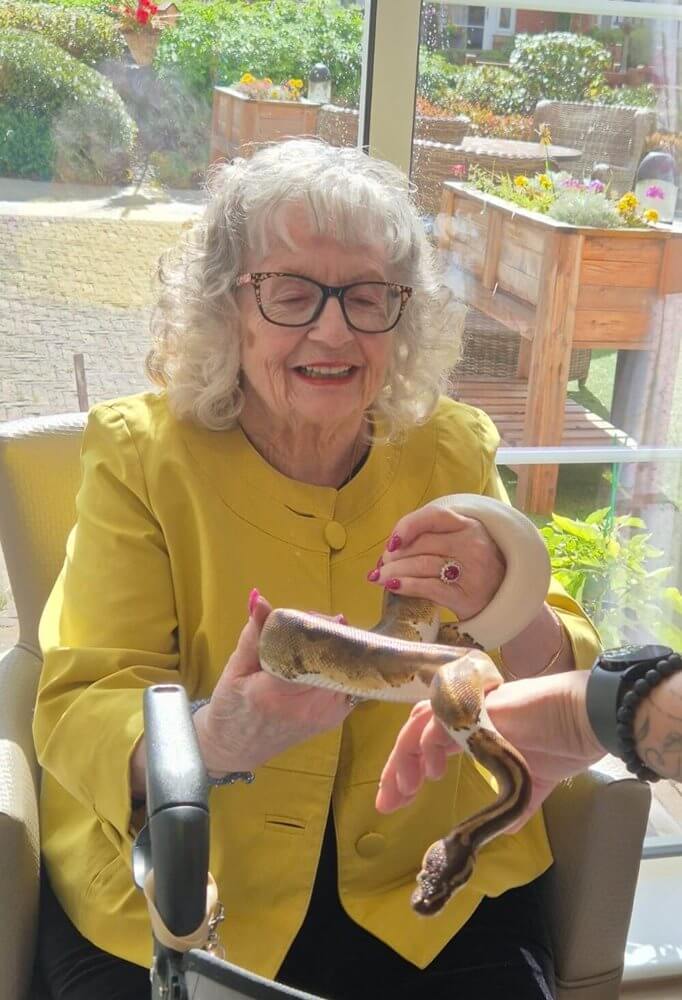 Lonsdale Mews - Lonsdale Mews snake