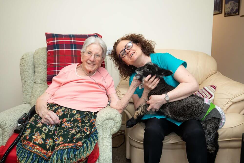 Care Assistant - Blossomfield animal visit 