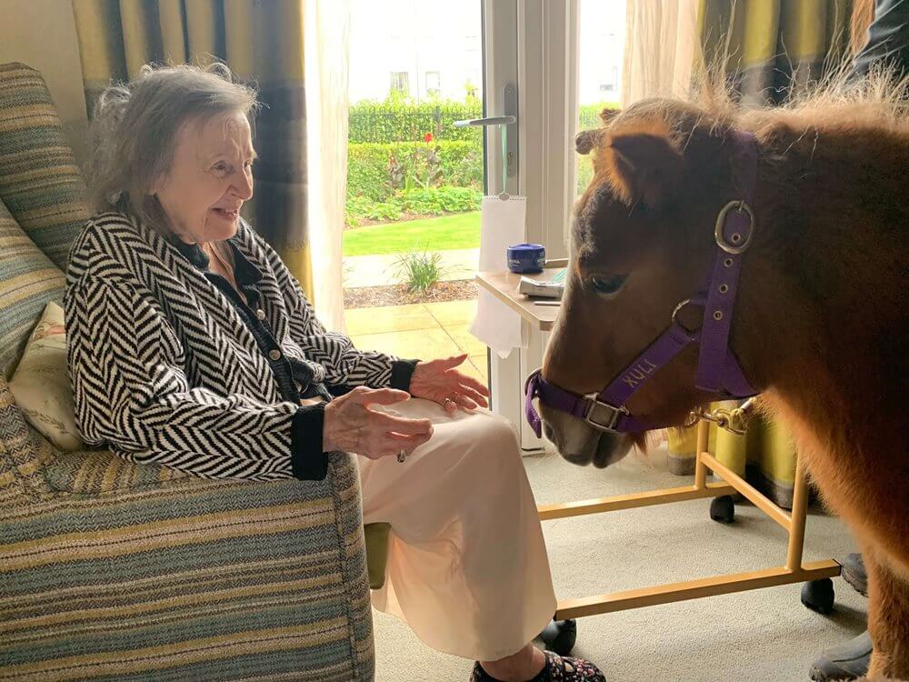 Nurse Manager - Smyth Lodge pony visit