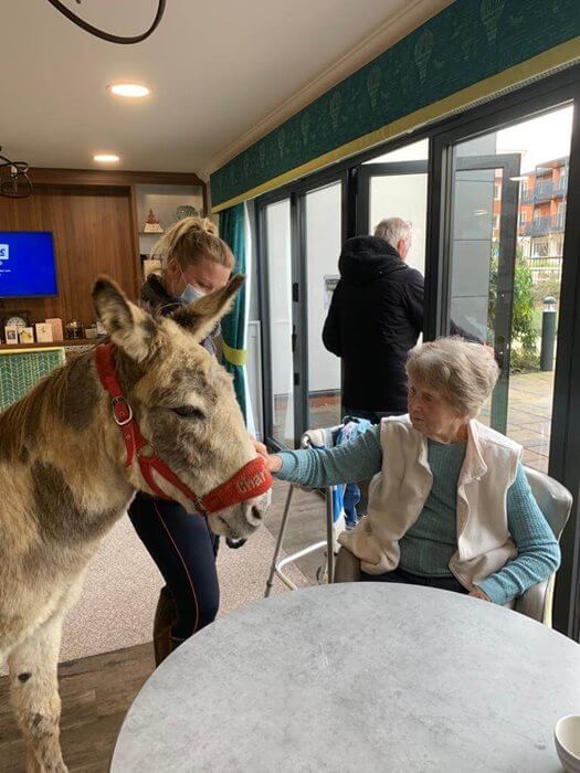 Nurse Manager Bank - Parsons Grange donkey visit 