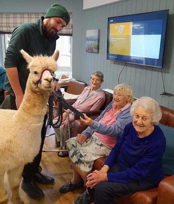 Team Leader Bank - hartismere alpaca visit