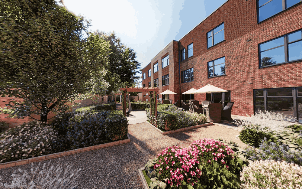 Elderflower Grange - Elderflower Grange garden