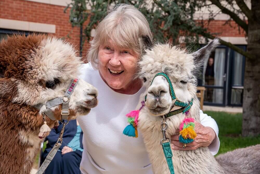 Registered General Nurse Bank - chichester alpaca visit