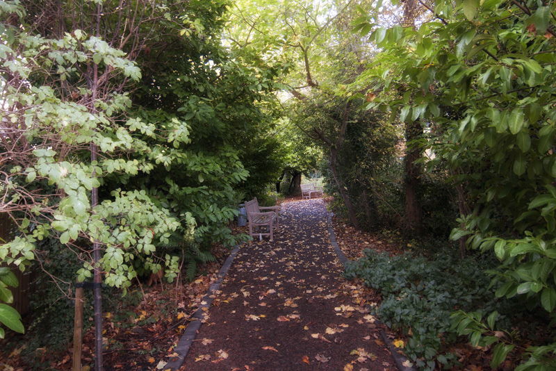 Team Leader Care Bank - i-rcs-langley-oaks-garden-path image