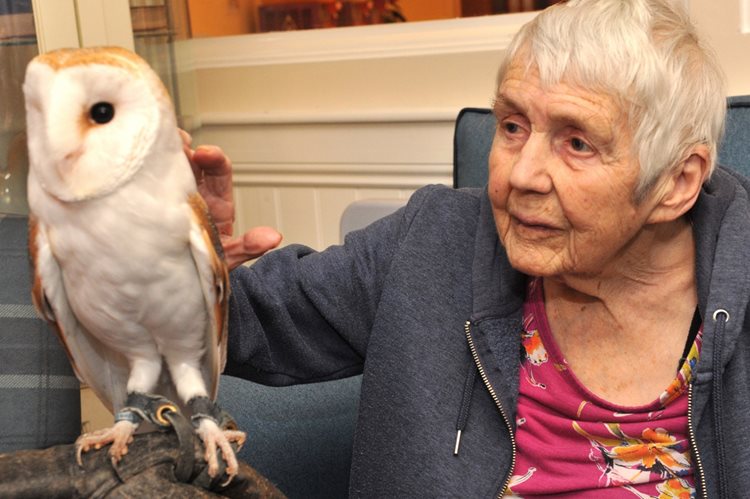 100-year-old Dorset resident reveals the secret to a long life